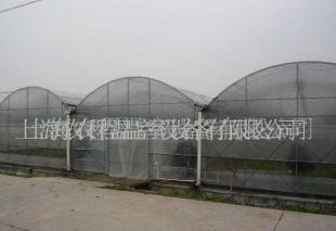 塑料連棟溫室大棚 現代農業的智能生態空間