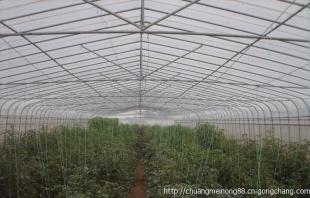 河南溫室大棚主要類型與成本解析