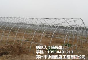 山西蔬菜溫室大棚建設的卓越選擇 專業公司引領現代農業新風尚